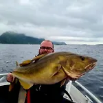 Feriehus Lofoten&vesterålen Kveldro