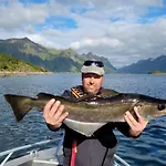 Lofoten And Vesteralen Kveldro Dom wakacyjny Myrland
