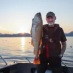 Lofoten&vesterålen Kveldro Feriehus