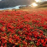Lofoten And Vesteralen Kveldro *