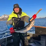 Lofoten And Vesteralen Kveldro Dom wakacyjny Myrland