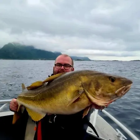 Casa vacanze Lofoten And Vesteralen Kveldro
