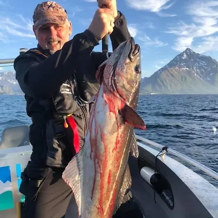 Lofoten And Vesteralen Kveldro Holiday home Myrland