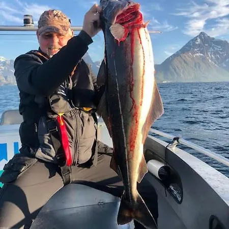 Lofoten And Vesteralen Kveldro
