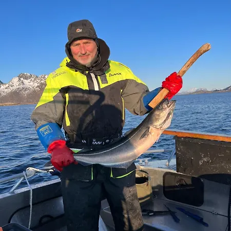 Lofoten And Vesteralen Kveldro Holiday home Myrland
