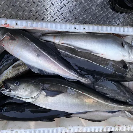 Lofoten And Vesteralen Kveldro Myrland