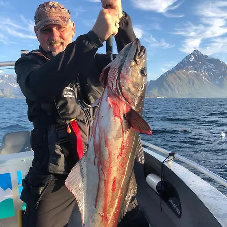 Lofoten And Vesteralen Kveldro * Myrland