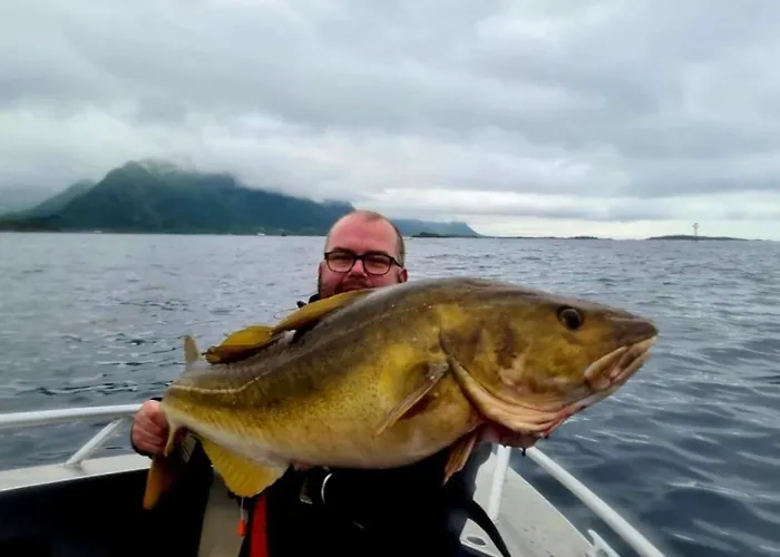 Дом отдыха Lofoten And Vesteralen Kveldro