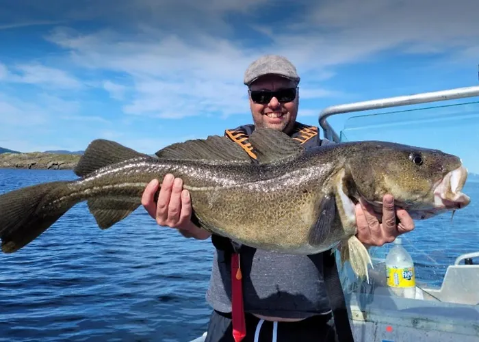 Lofoten And Vesteralen Kveldro Дом отдыха Myrland