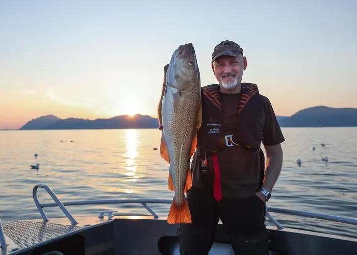 Lofoten And Vesteralen Kveldro Semesterbostad