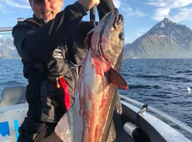 Lofoten And Vesteralen Kveldro Дом отдыха Myrland