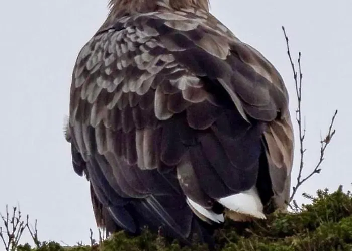 Lofoten And Vesteralen Kveldro Prázdninový dům Myrland