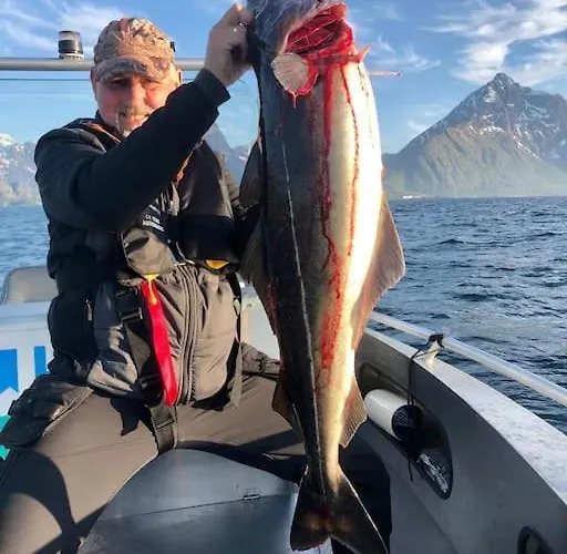 Lofoten And Vesteralen Kveldro