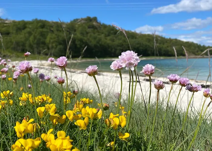 Lofoten And Vesteralen Kveldro *