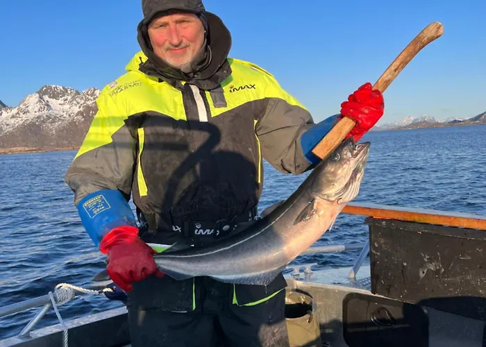 Lofoten And Vesteralen Kveldro Prázdninový dům Myrland