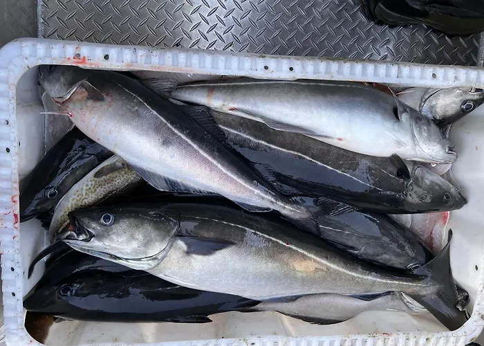 Lofoten And Vesteralen Kveldro Myrland