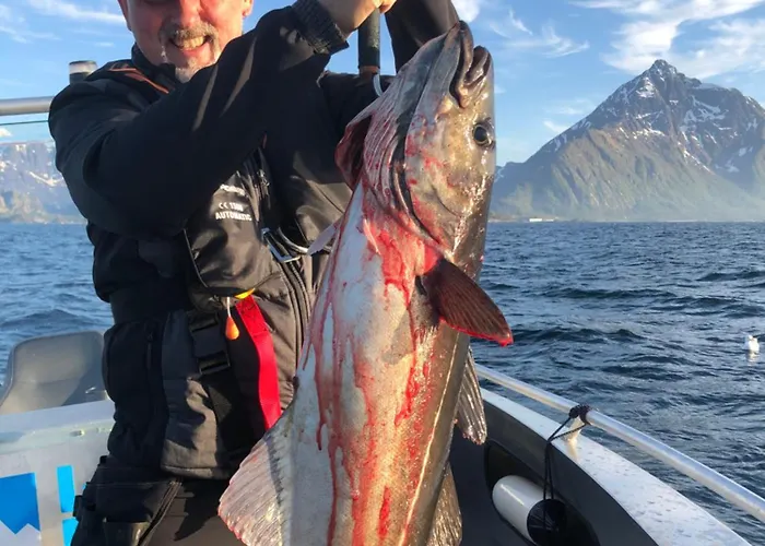 Lofoten And Vesteralen Kveldro * Myrland